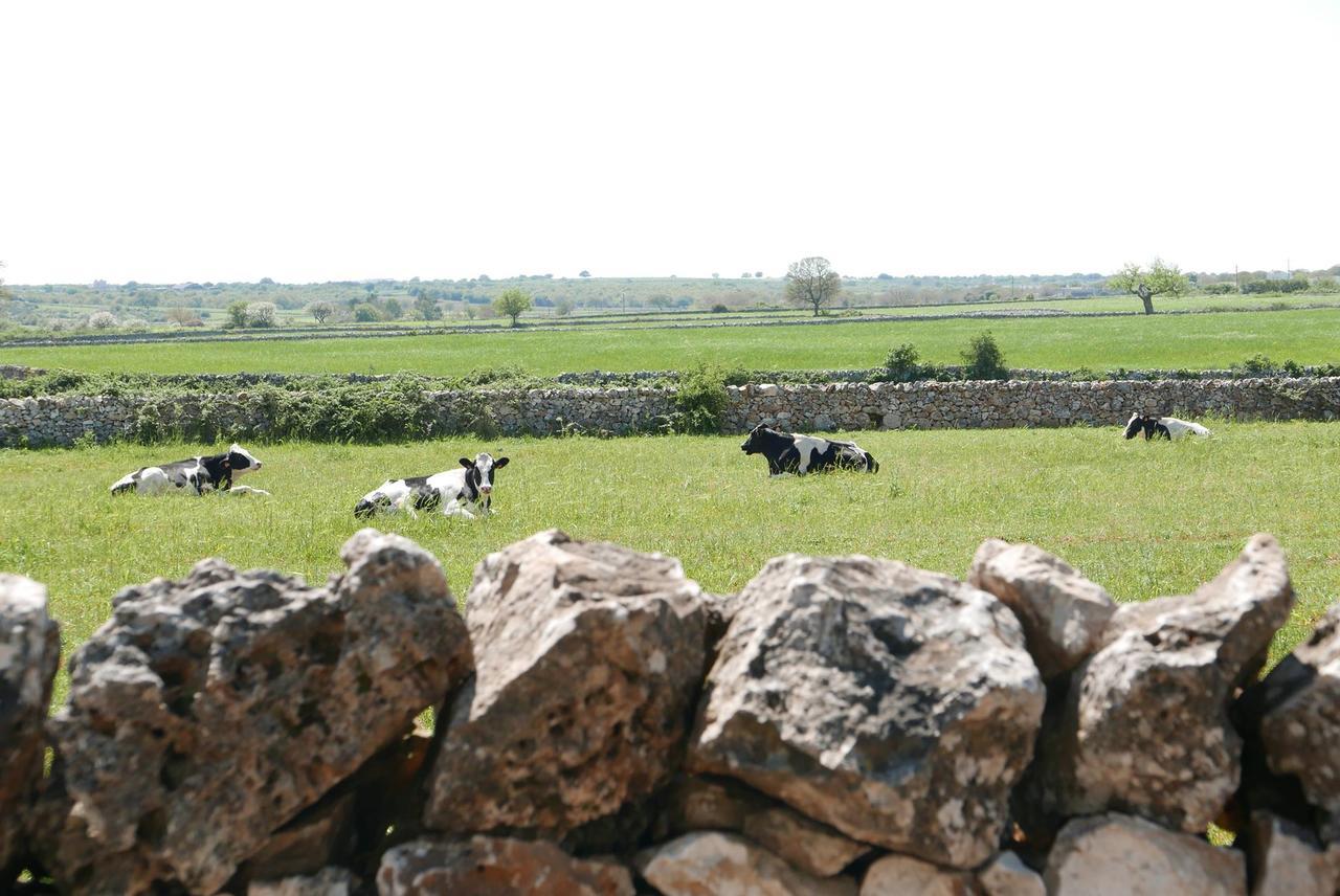 Masseria Murgia Albanese Noci Eksteriør bilde