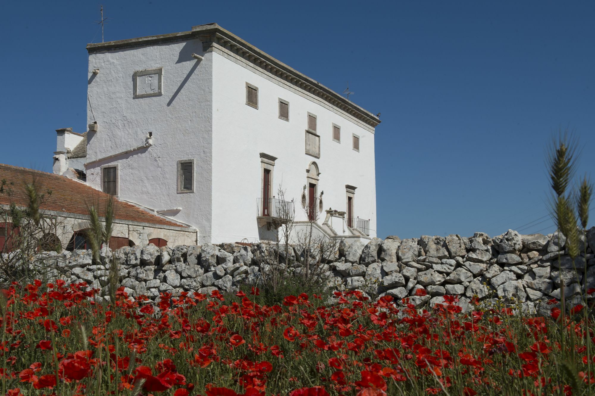 Masseria Murgia Albanese Noci Eksteriør bilde